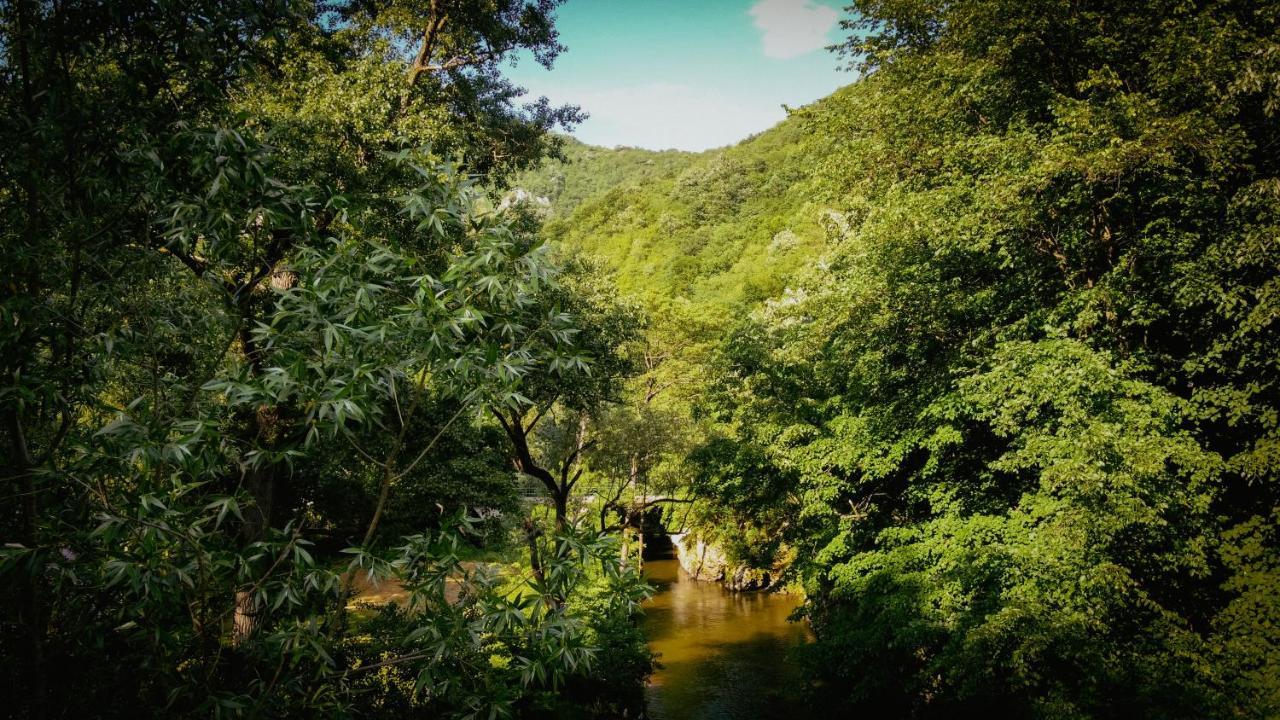 Restoran Sa Prenocistem Gornjak Krepoljin Екстериор снимка